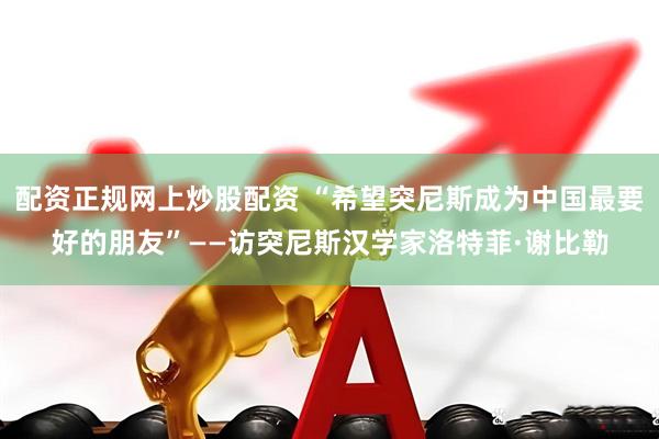 配资正规网上炒股配资 “希望突尼斯成为中国最要好的朋友”——访突尼斯汉学家洛特菲·谢比勒
